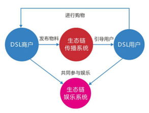 区块链的非金融领域扩散 DSL国际兑付系统